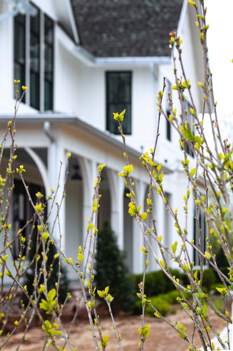 Wilson Pike - Gallery image 2