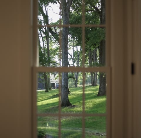 The Mill - Landscape view 2