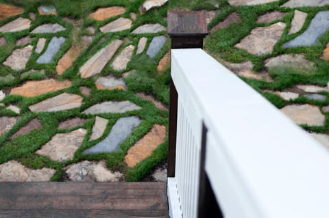 McLemore 3 - Landscape view 2