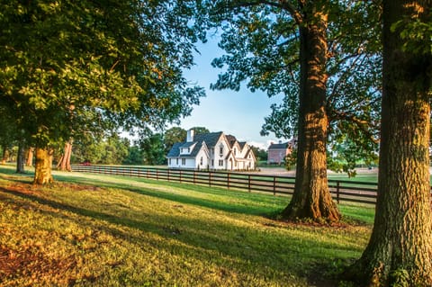 Trinity 1 - Gallery image 2